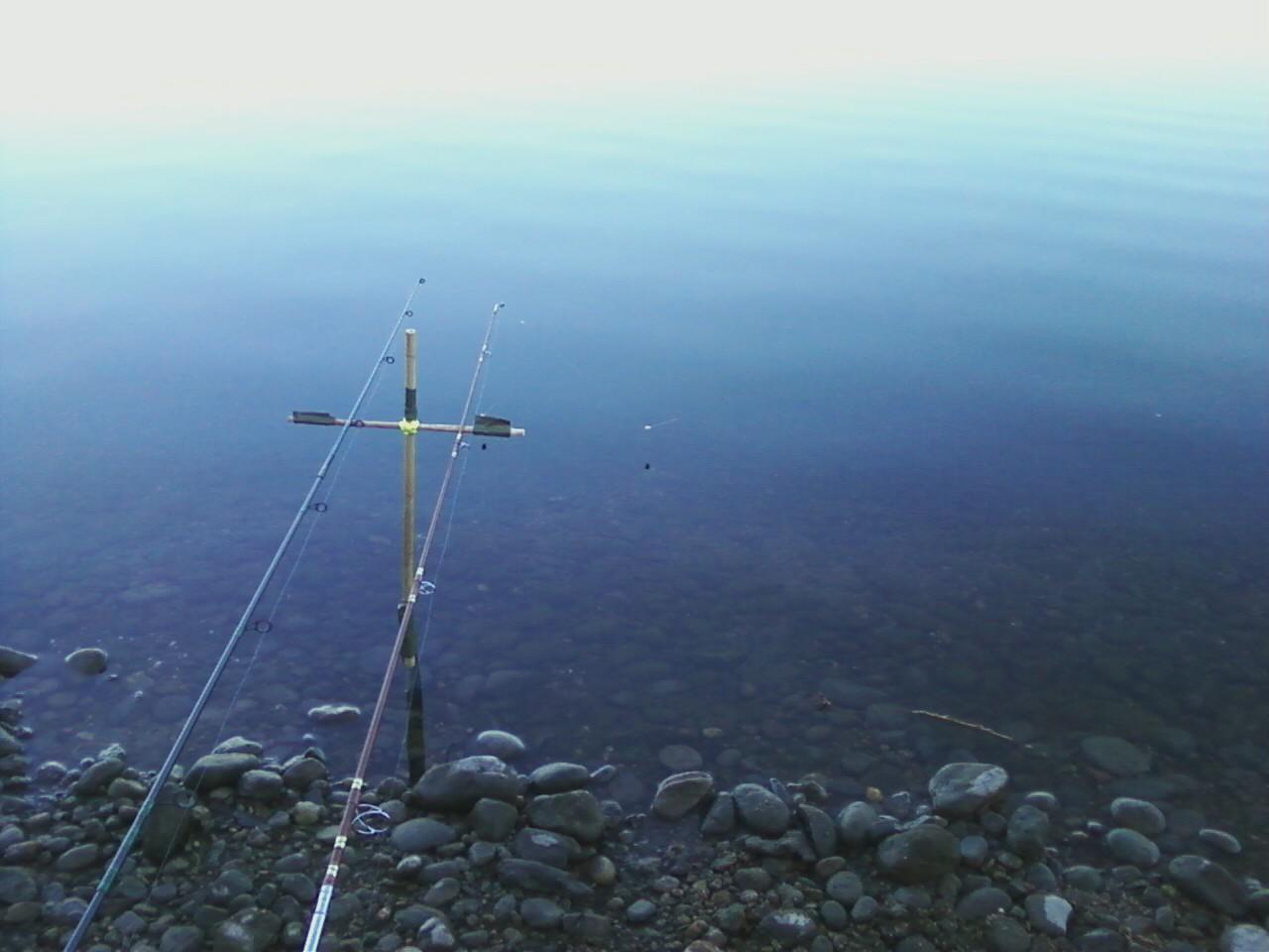 fish :) - nocarp21.jpg